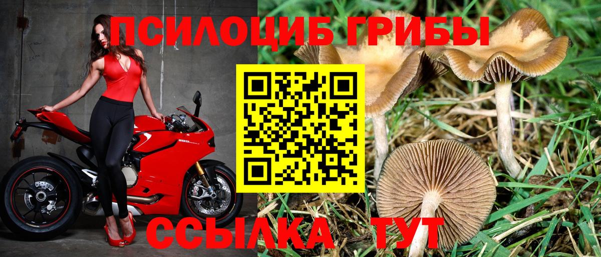 Галлюциногенные грибы Cubensis  Галлюциногенные грибы Cubensis  Родники  Вход с VPN 