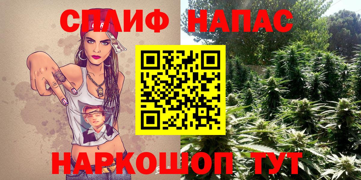 Конопля план  Каннабис AK-47  Бошки Шишки SATIVA & INDICA  Вход с VPN  Родники 